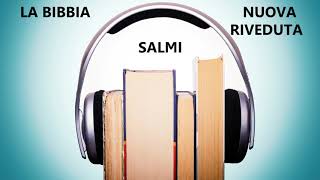 19 LA BIBBIA VERSIONE NUOVA RIVEDUTA AUDIOLIBRO LIBRO DEI SALMI [upl. by Ytinav]