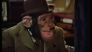 PG Tips Chimps Adverts Full collection [upl. by Maillw]