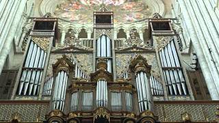 Pipe Organs  Magnificent Instruments [upl. by Prospero]